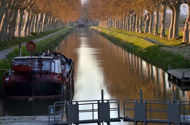 Au Paradis Cathare Fraissé-des-Corbières Exteriör bild